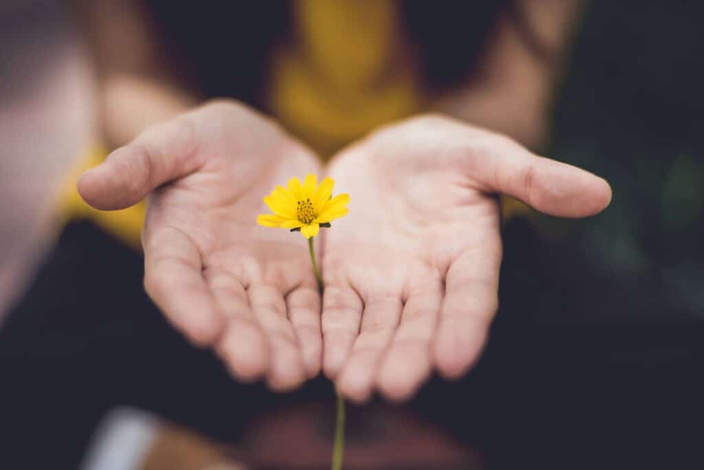 Des mains jointes avec une fleur jaune